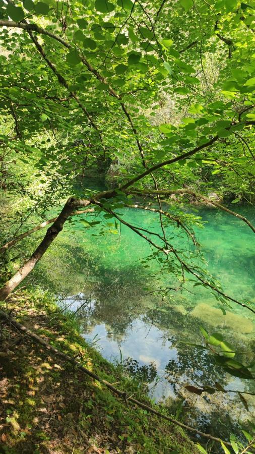 Le Mas Melusine Fayence Dış mekan fotoğraf